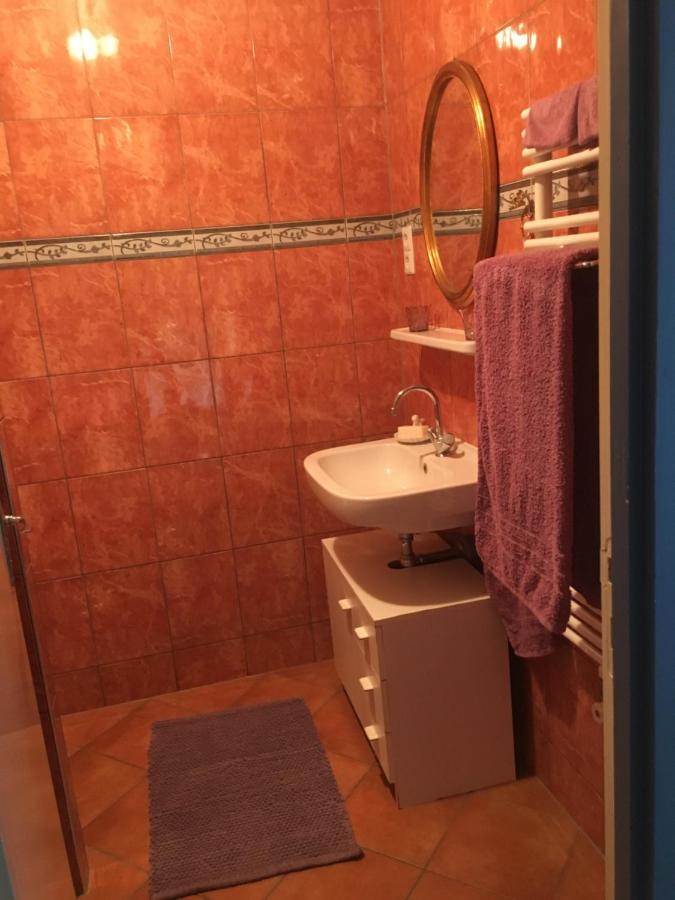 Appartement In Chateau Saint Claude An Der Saone Mantoche エクステリア 写真